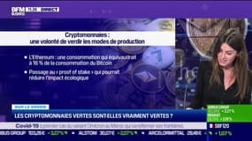 Sur le green: Les cryptomonnaies vertes sont-elles vraiment vertes ? - 16/12