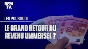 De gauche à droite, tous pour le revenu universel ? 