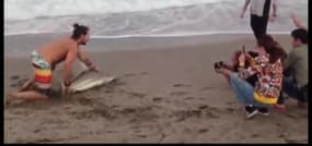 Un homme sort un requin de l’eau pour prendre une photo avec lui  