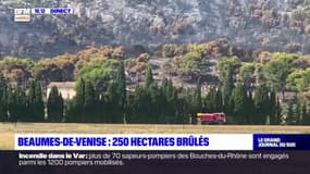 Vaucluse: un incendie détruit 250 hectares dans le secteur de Beaumes-de-Venise