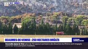 Vaucluse: un incendie détruit 250 hectares dans le secteur de Beaumes-de-Venise