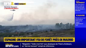 Espagne: un incendie s'est déclaré à Mentrida, à une cinquantaine de kilomètres de Madrid