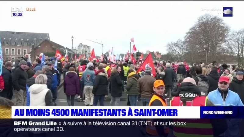 Nord: les agriculteurs face à la menace de la grippe aviaire