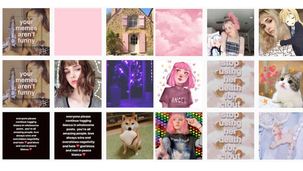 Captures d'écran des publications qui identifient le compte Instagram de Bianca Devins