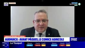 Pas-de-Calais: le comice agricole de retour à Audruicq