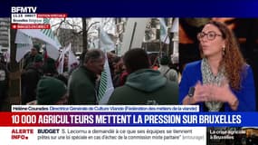 Mercosur: "Cette clause de sauvegarde ne nous satisfait pas", affirme Hélène Courades, directrice générale de Culture Viande