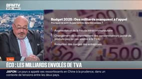 BFM éco : Éco, les milliards envolés de TVA - 18/11