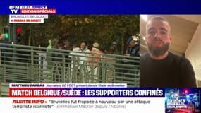 "Beaucoup de journalistes et de supporters ont voulu partir": Le match de football Belgique-Suède a été interrompu après l'attentat à Bruxelles