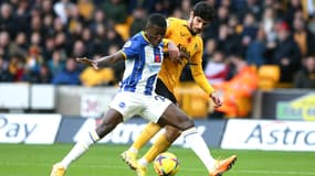 Moises Caicedo avec Brighton en 2022.