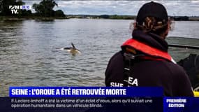 L'orque en difficulté dans la Seine a été retrouvée morte