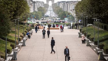 57% des entreprises de plus de 100 salariés ont l'intention de recruter au moins un cadre dans les 3 mois à venir.
