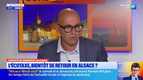 "Il faut arrêter cette situation": le bilan du fret international de poids lourds sur les autoroutes alsaciennes, par Frédéric Bierry
