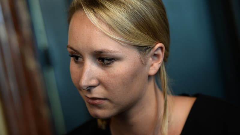 Marion Maréchal-Le Pen le 29 mai 2015 à Paris, lors d'une conférence de presse.