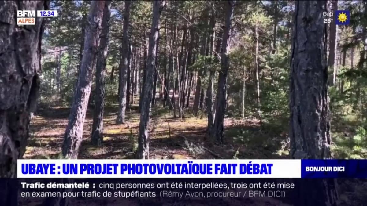 placeholder video