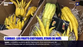 Corbas : les fruits exotiques, stars de Noël