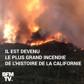 "Mendocino Complex" est devenu le plus grand incendie de l’histoire de la Californie