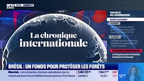  Hongrie : le laboratoire de Trump en Europe