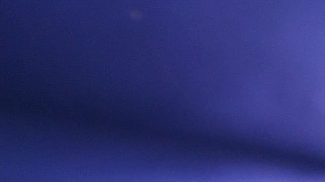 Feu! Chatterton au Festival du Bout du Monde en 2016