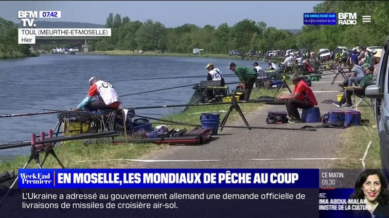 Moselle: ce week-end, Toul accueille les Mondiaux de pêche au coup