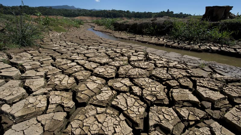 Un aperçu du lit de la rivière Jacarei au Brésil, lors d'une sécheresse historique dans la région de Sao Paulo, le 19 novembre 2014. 