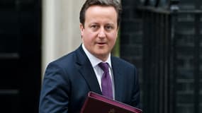 David Cameron, ici en janvier 2013, est le Premier ministre britannique.