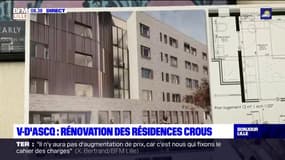Villeneuve-d'Ascq: début des rénovations des résidences étudiantes