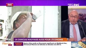 Lechypre d’affaires : La canicule, mauvaise aussi pour l’économie - 16/06
