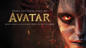 Couverture du livre "Dans les coulisses de Avatar", de Joe Fordham.