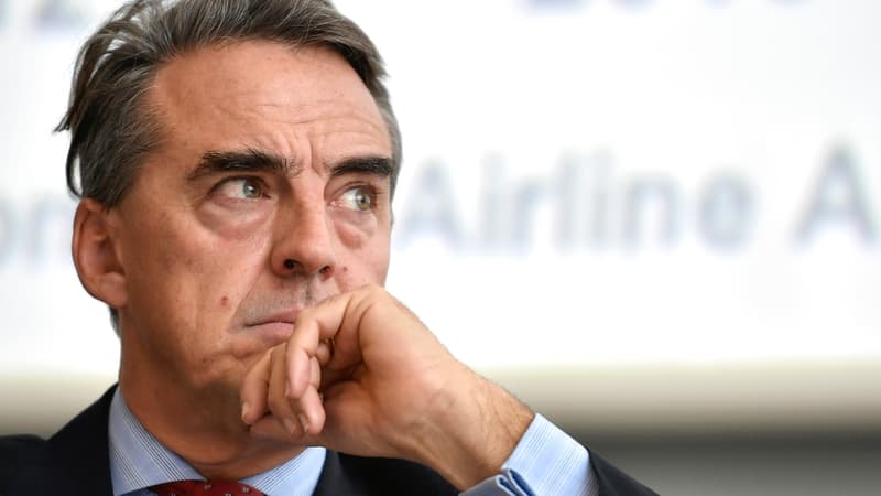 Le directeur général de l'IATA  Alexandre de Juniac souligne l'immense travail qui serait nécessaire pour maintenir des liaisons aériennes vitales.