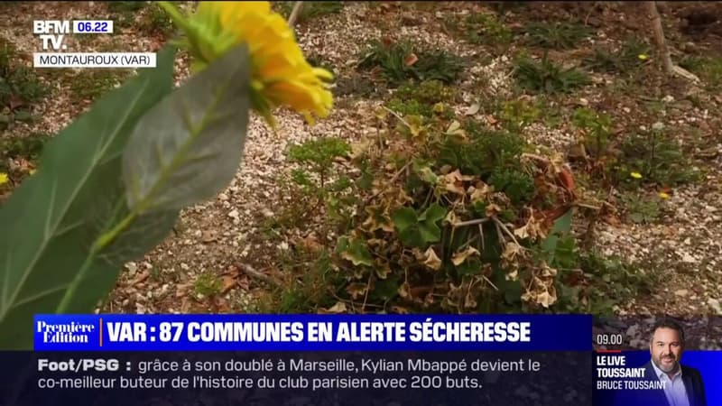 Var: 87 communes en alerte sécheresse