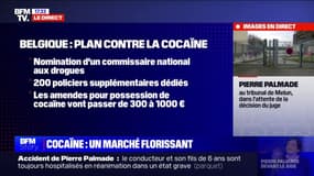 La cocaïne, un marché florissant