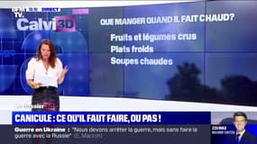 Canicule: ce qu'il faut faire et ne pas faire face à la chaleur 