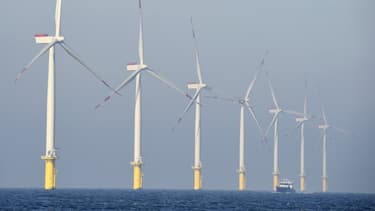 La ministre de l'Environnement et de l'Energie, Ségolène Royal, a annoncé qu'un appel d'offres serait lancé pour la pose d'éoliennes en mer au large de l'île d'Oléron (Charente-Maritime),