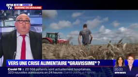 Faut-il s'inquiéter d'une crise alimentaire "gravissime" comme le laisse entendre Jean-Yves Le Drian ?