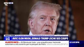 "Nous ne pouvons pas avoir une présidente démocrate (...) elle est incompétente": Donald Trump charge Kamala Harris lors d'un échange avec Elon Musk