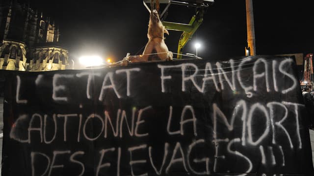 Des éleveurs de porcs, lors d'une manifestation le 16 février (photo d'illustration).