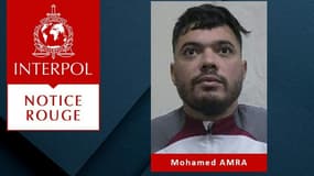Notice Rouge publiée par Interpol le 15 mai 2024 contre le fugitif Mohamed Amra. 