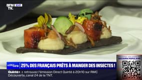 25% des Français se disent prêts à manger des insectes