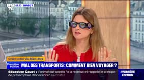 Voyages: d'où vient le mal des transports et comment y remédier?