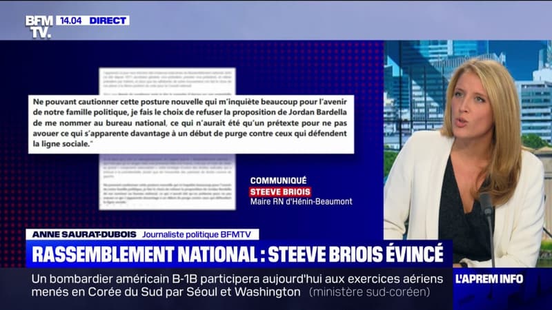 Rassemblement national: Steeve Briois et Bruno Bilde et évincés du bureau exécutif par Jordan Bardella