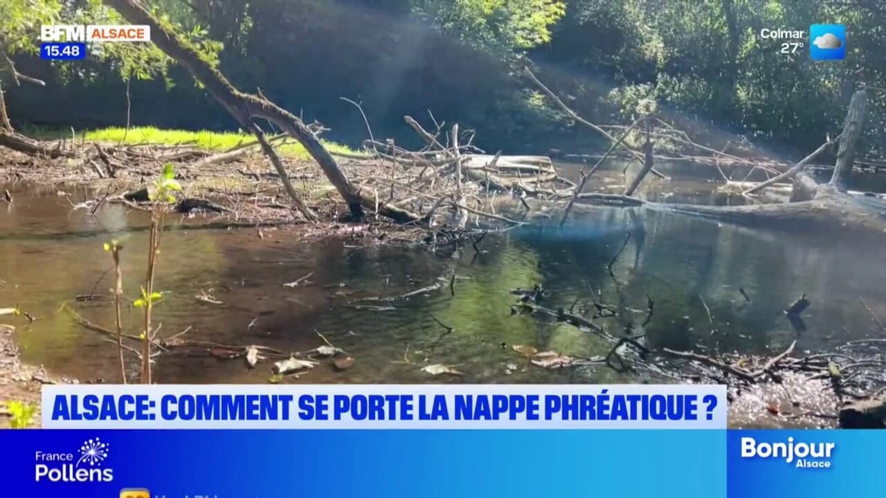 Alsace: comment se porte la nappe phréatique?
