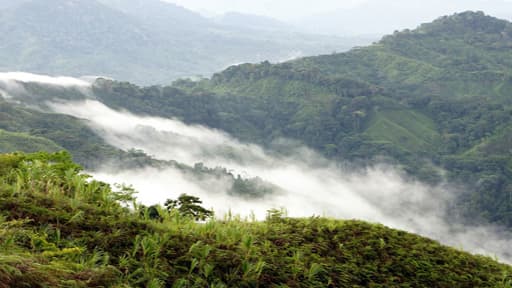 La Colombie est déchirée par un conflit armé depuis près de 60 ans.