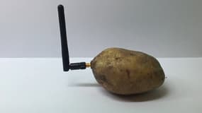  Découvrez comment ce Français a piégé le CES 2020 avec sa pomme de terre connectée 
