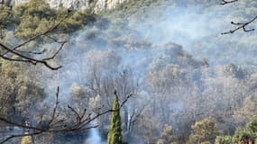 Un feu de forêt s'est déclenché à Villeneuve.