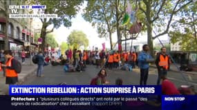 Les militants d'Extinction Rebellion mènent une action surprise dans le quartier des Halles à Paris