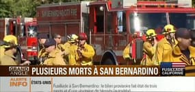 Fusillade en Californie: "C'est une responsabilité collective car il y a chaque année 600 décès accidentels par arme à feu aux États-Unis", François Durpaire