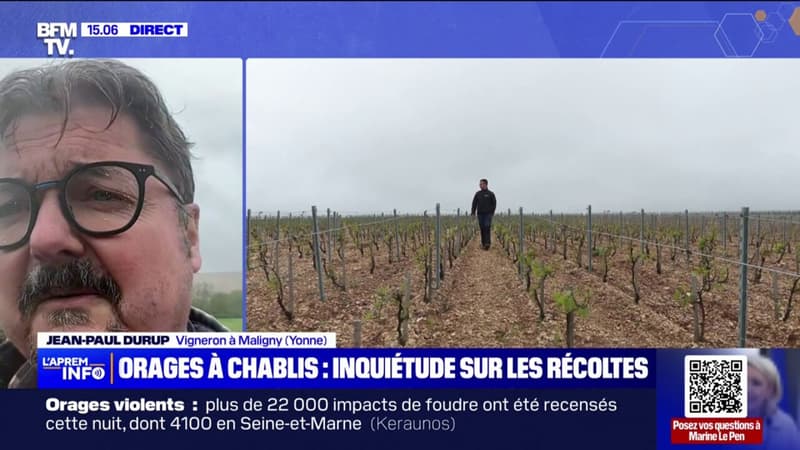 Jean-Paul Durup (vigneron à Maligny, dans l'Yonne) sur les intempéries: On espère une amélioration du temps qui pourrait éventuellement faire repartir quelques bourgeons