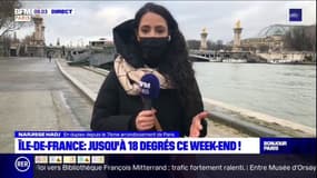 Ile-de-France: un grand ciel bleu et jusqu'à 18°C ce week-end