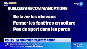 Pollen: la Provence en alerte rouge
