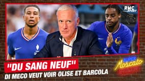 Équipe de France : "Amener du sang neuf"... Di Meco veut (vraiment) voir Barcola et Olise